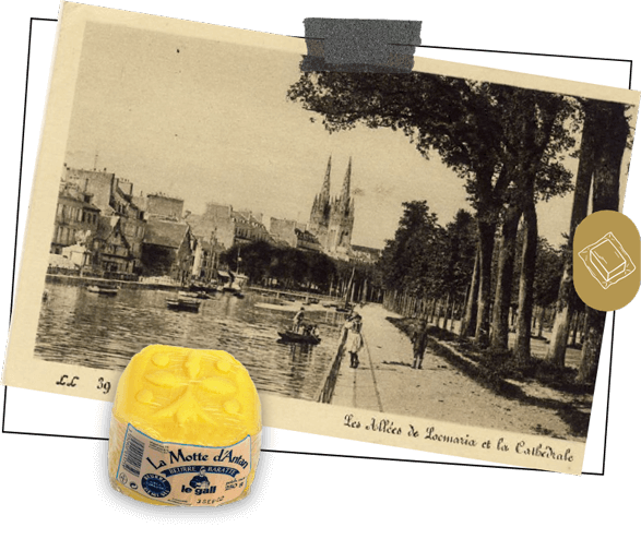 carte postale ancienne représentant les allées de Locmaria et la cathédrale de Quimper au début du XXe siecle